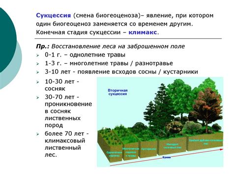 Значение понятия "биогеоценоз" в современной экологии