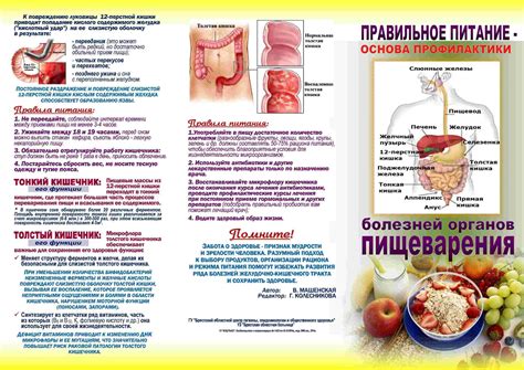 Значение правильного питания при язвенной болезни желудка