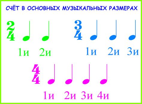 Значение ритма в поведении человека