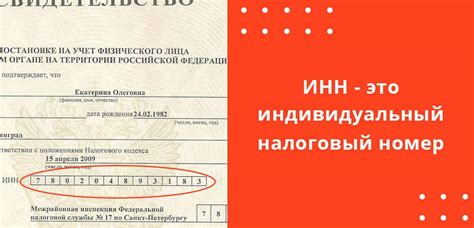 ИНН на печати: обязательно ли указывать государственный регистрационный номер?