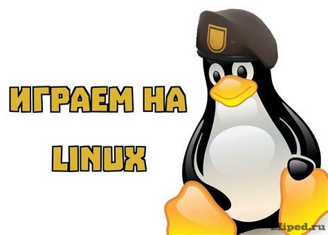 Игры на Linux: возможно ли установить и играть в игры на ОС Linux?