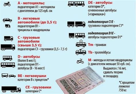 Избавьтесь от лишних прав: получение категории М пошагово