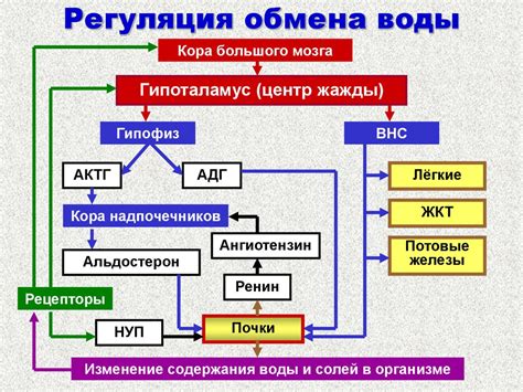 Изменение химического баланса в организме