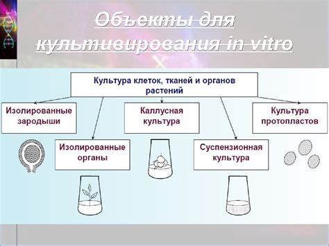 Изменения состава клеток и тканей