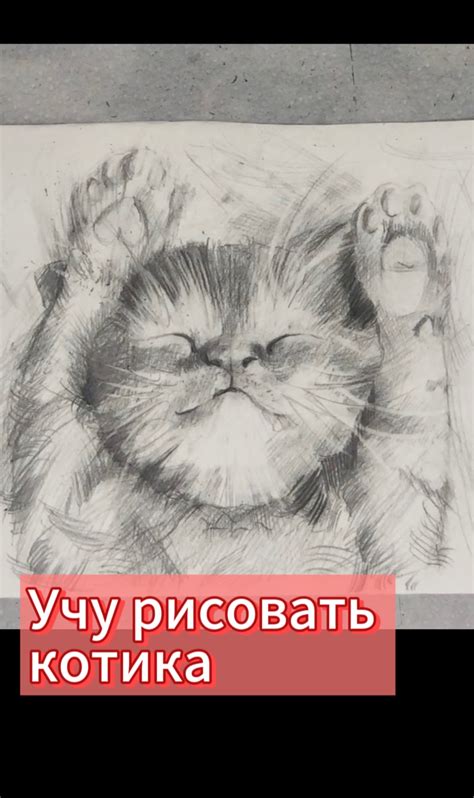 Изображение котика в искусстве