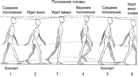 Изображение человека: пример и шаги