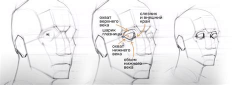 Изучите основы рисунка