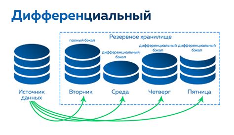 Импорт профиля и резервное копирование данных