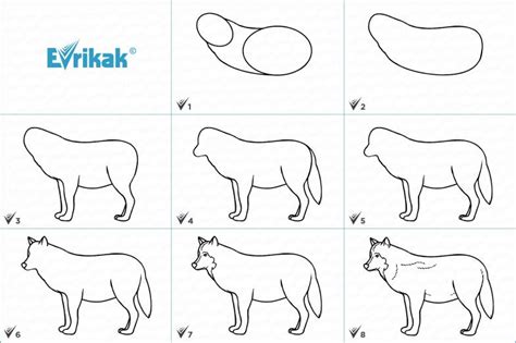 Инструкция по рисованию Соника волка