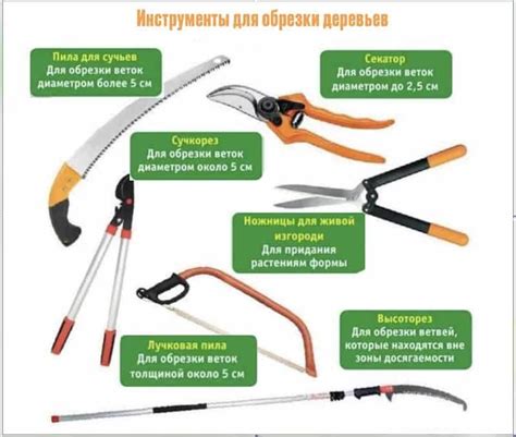 Инструменты, необходимые для обрезки лимона