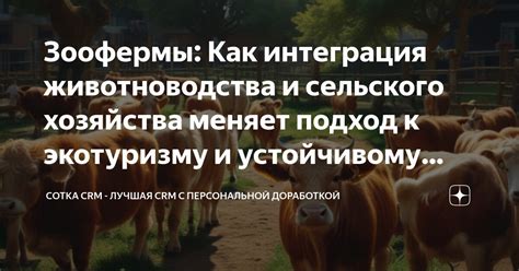 Интеграция с природой