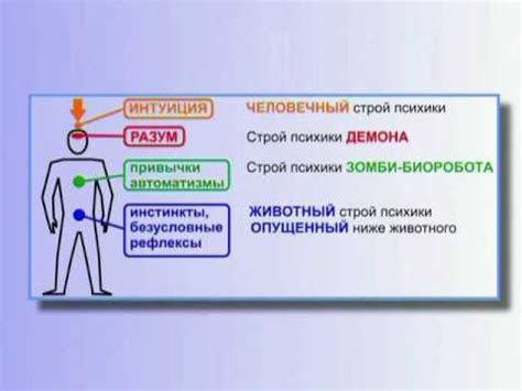 Интуитивное прозрение