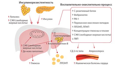 Информационная статья о массаже при сахарном диабете