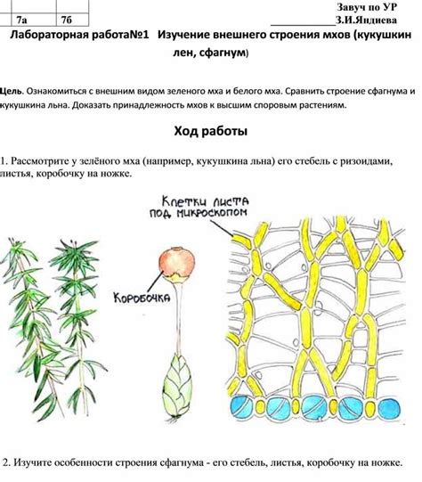 Исключительные случаи усадки льна и их причины