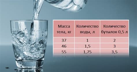 Искусство правильного потребления: тайминг и количество воды