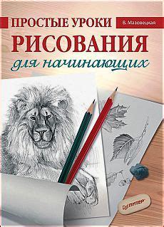 Искусство рисования книг: простые методы для начинающих