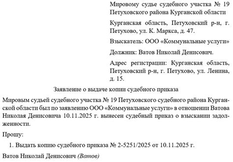 Использование копии судебного приказа