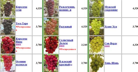 Использование микроскопа для определения сорта винограда