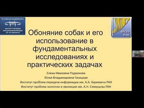 Использование нейрокомпьютерного интерфейса в практических задачах