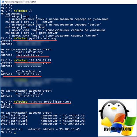 Использование программы "nslookup"