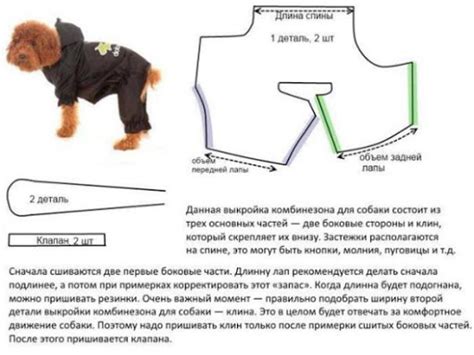 Использование специальной одежды для собак