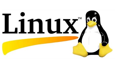 Используйте команду ifconfig в терминале Mac или Linux