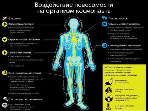 Испытывают ли спортсмены ощущение невесомости?