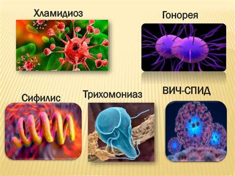 Исследование на наличие венерических инфекций у женщин