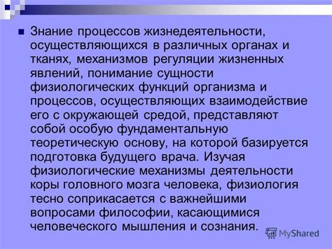 Исследование пути небытия: понимание сущности и механизмов