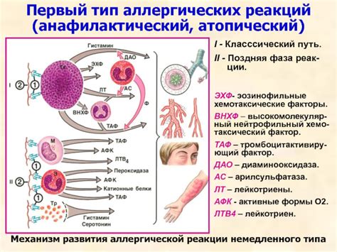 Истинная природа аллергической реакции на винегрет