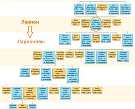 История генеалогии: отслеживание предков по фамилии