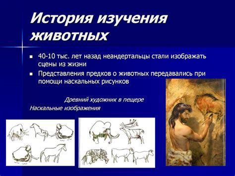 История изучения кабарги