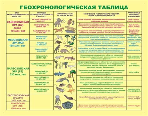 История истока различия растительного и животного образа жизни