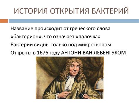 История открытия бактерий