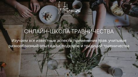 Итог: делайте свой выбор, учитывая все аспекты