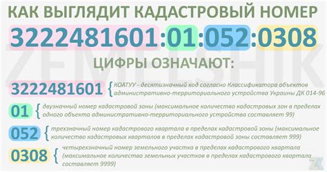 Кадастровый номер участка земли: общая информация