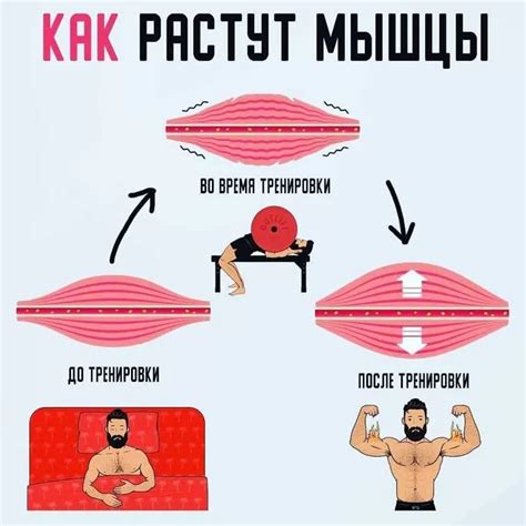 Какая должна быть длительность и интенсивность тренировок пресса после пневмонии?