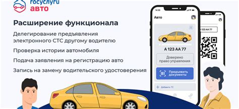 Какая информация доступна при проверке