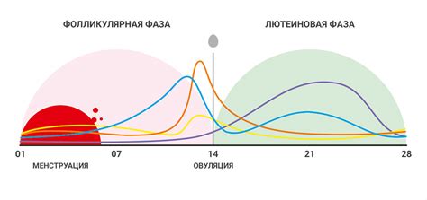 Какие анализы нужно сдавать для контроля гормонов репродуктивной системы