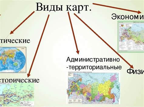 Какие бывают виды леток