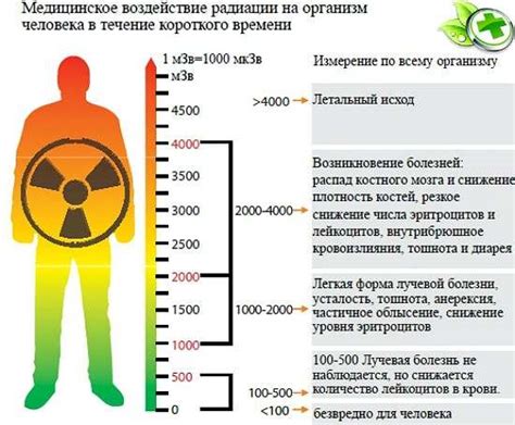 Какие вещества и объекты могут быть источниками сильной радиации?