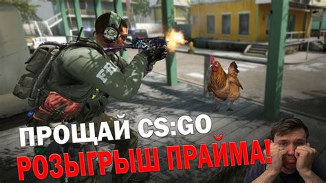 Какие есть ограничения при подарке Прайма в CS:GO?