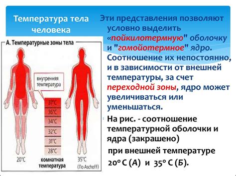 Какие изменения температуры тела сопровождают депрессию?