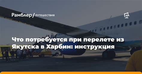 Какие маршруты выбирают стрижи при перелете