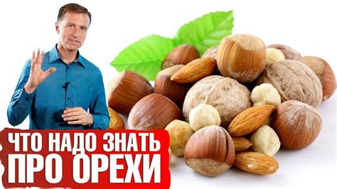 Какие орехи лучше есть перед сном?