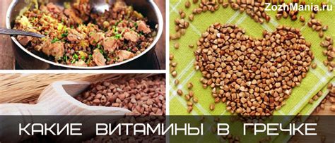 Какие питательные вещества содержит гречка