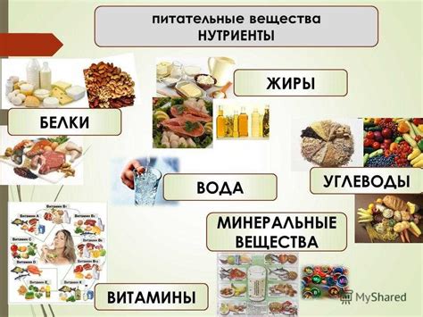 Какие продукты содержат белки?