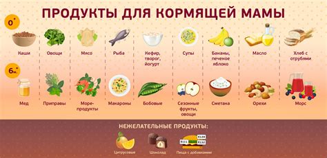 Какие продукты являются основой правильного питания для кормящих мам?