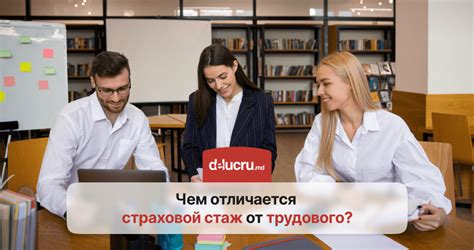 Какие работы признаются трудовым стажем?