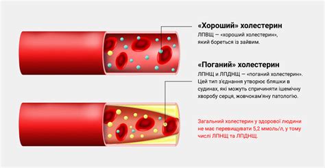 Какие рекомендации следует учесть?